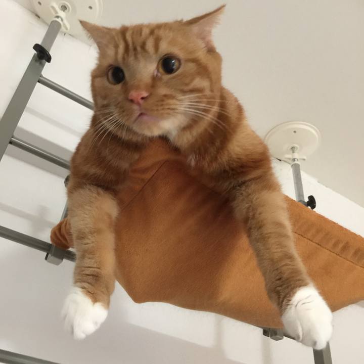 7ca9a31f ff54 47aa b3bd 5d0a4138916e 1544054050921