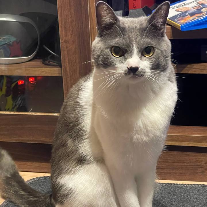 7ca9a85e 8ce7 4abc 9144 80a10ba7642f 1635252439208