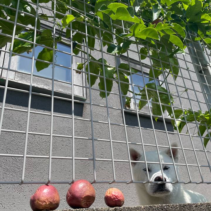 7ca9bcae 4bdf 482f 9f1a f50476286cda 1722592955397