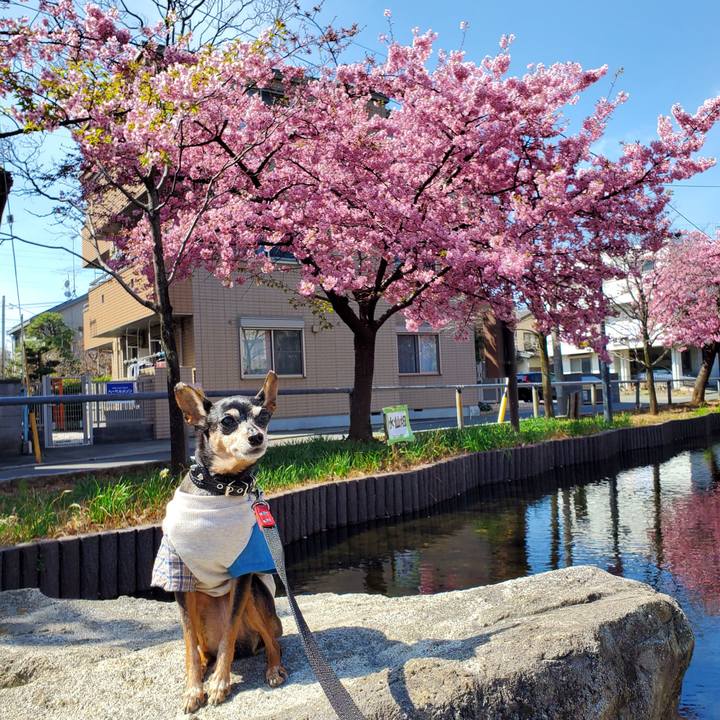 7ca9c0e2 1ffc 44dc 9a6c a790991d4bbb 1677913428183