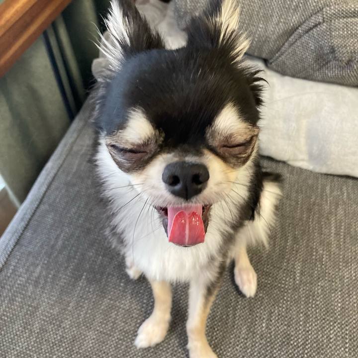 7caa018c cc3d 4536 9d20 1f8087ba964d 1626910517382