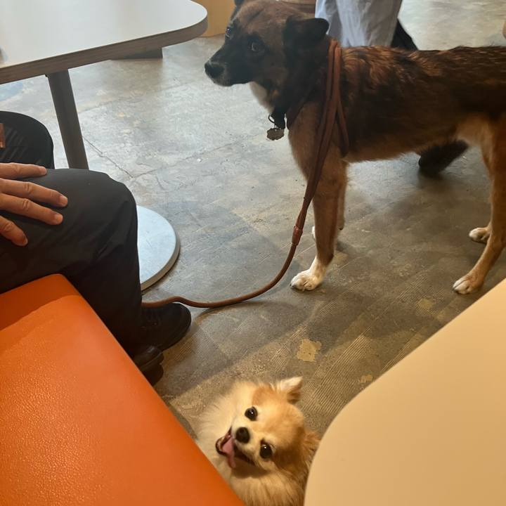 7caa3959 4014 4163 a04b 8b4f76f2105e 1757740880056