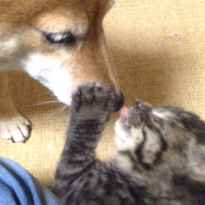 7caa55c2 c70d 4c91 8554 bd667997e1d7 1526824098742