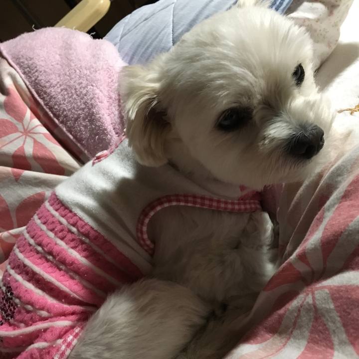 7caa613c 994f 4064 8469 60fb4bb67c6f 1539776418777