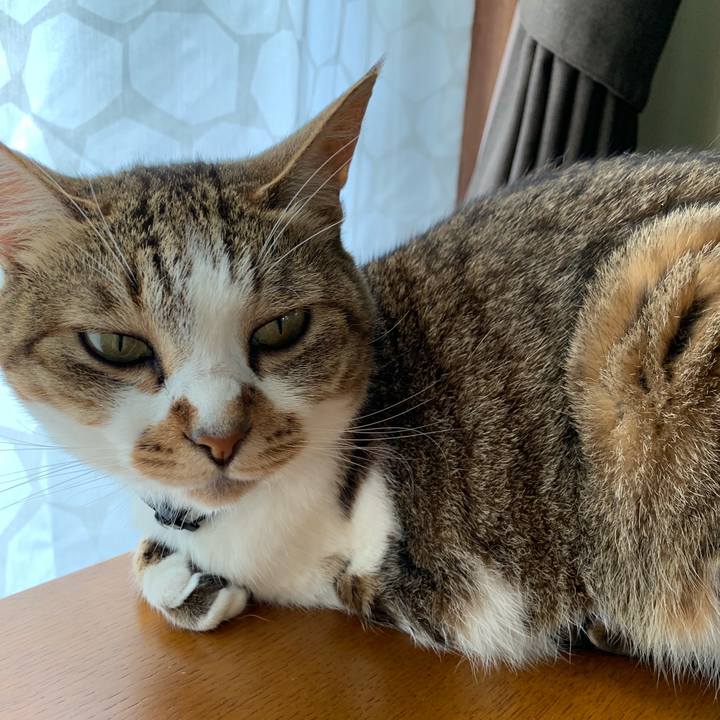 7caa6b75 7997 4d59 90a7 235f499a16d7 1595213203623