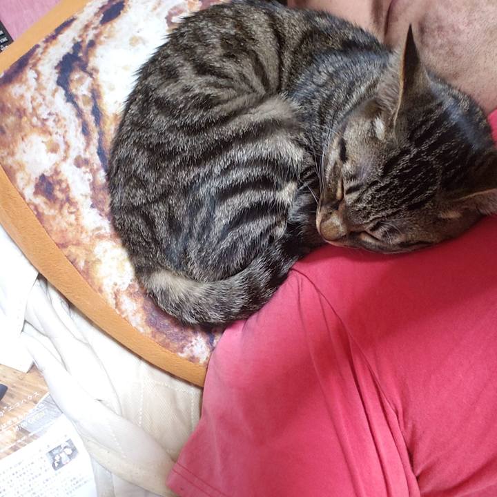 7caa7617 7578 48a0 a50e 415f9c5c001b 1542886495976