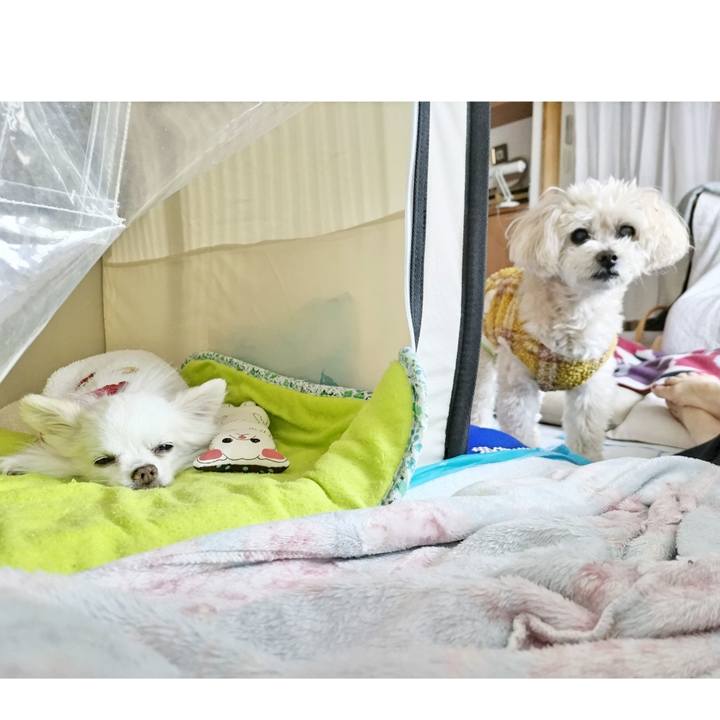 7caa7db2 9cb0 41c9 9c39 7a75b1f26990 1687993422410