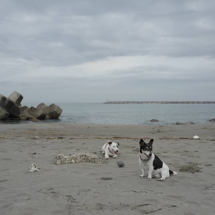 7caa817c e7f2 4b00 ba50 b0b609041a23 1561782885246