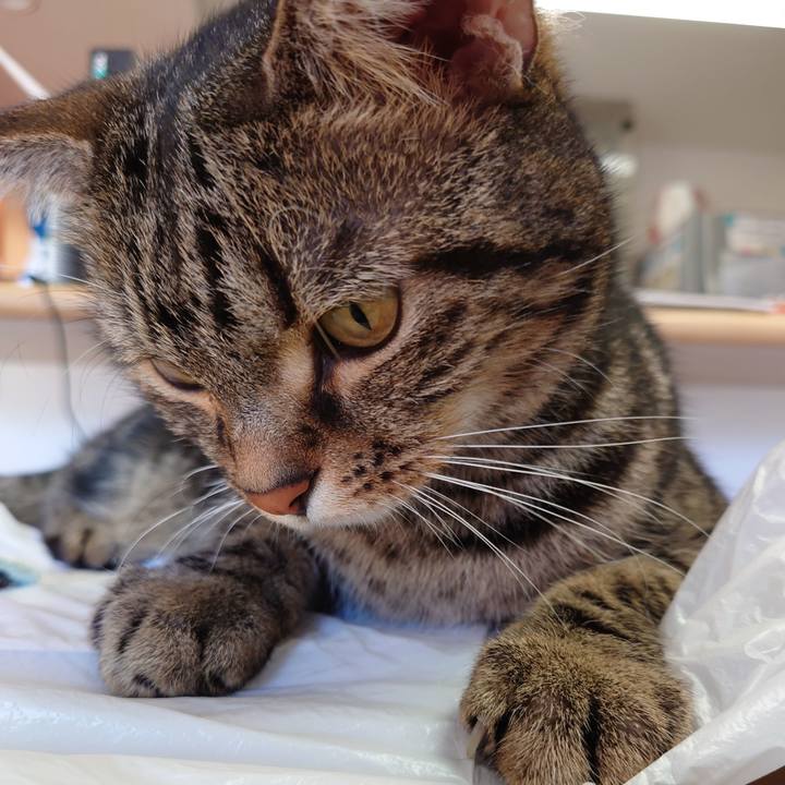 7caa8239 c854 413d b85a cfbb11148574 1608693367410