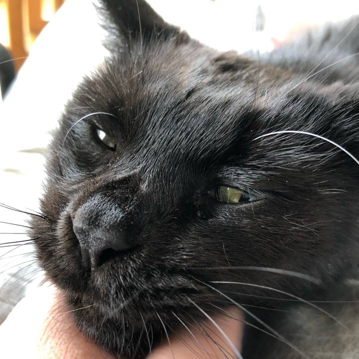 7caac5c1 dda4 47f9 b6de 2b1d8a88d92e 1595555099565