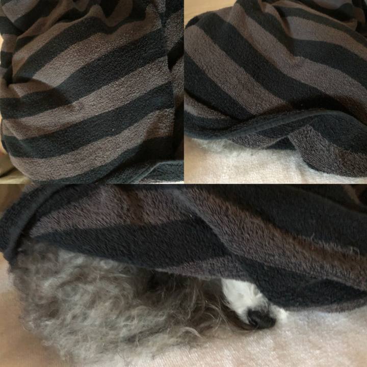 7caac9b4 1092 4e44 9bcc 5b8bdd7fb1b1 1606127343616