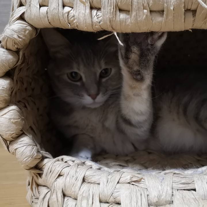 7caada11 3a8c 44b0 8c88 c023a51117fb 1587652662496