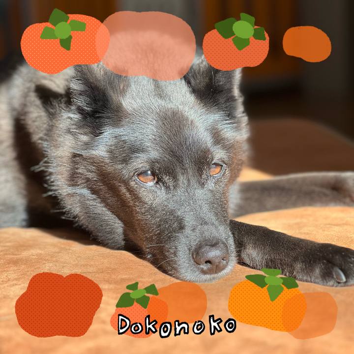 7cab0216 75bc 4939 84f9 6ed7eb73d36e 1761575295471