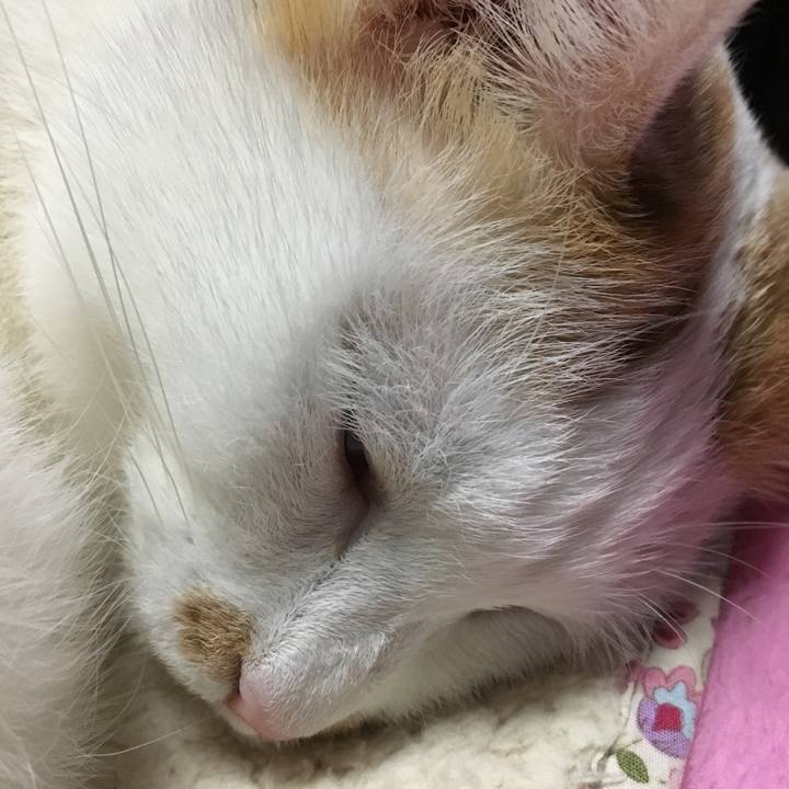 7cab0b03 7286 4b49 8e36 fe8a13c1da90 1514725045412