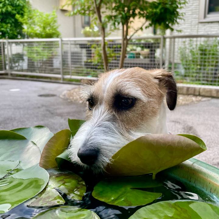 7cab0eee 3ff0 4de5 b95c 3b27baf3831e 1656072338187