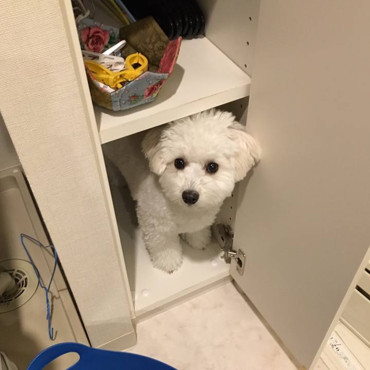 7cab18c5 3985 4d0c 8007 2bf18bd4612d 1520141624471