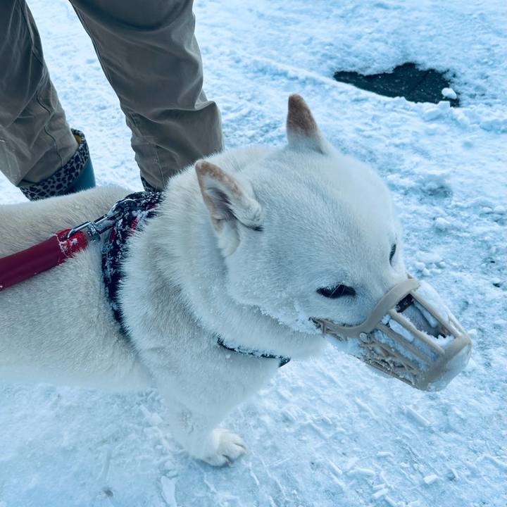 7cab3455 325f 4a22 b202 6200f6ff73a7 1710109361907