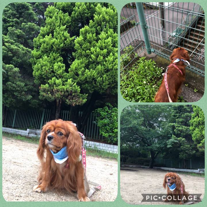 7cab4bef 523c 4723 a3ca ff3e23882440 1594443136454