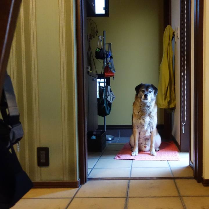 7cab4c01 a50d 428e a114 2a5e6adaa792 1525571214157