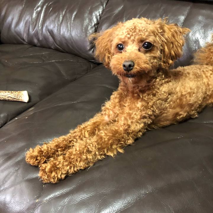 7cab9448 8f0c 4cea 990f aa3b0478400f 1525733546476