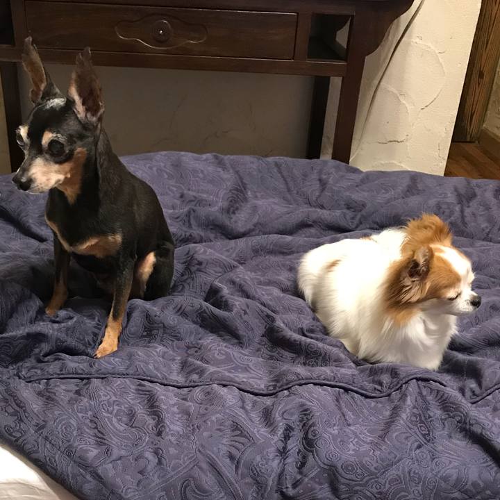 7cabd96b 5be8 45b7 94e2 f20a2a090806 1536491957526