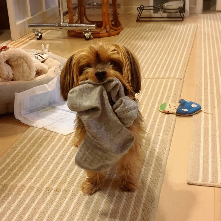 7cabe335 cdc4 478d 9930 511aaa3ec4c3 1580202964584