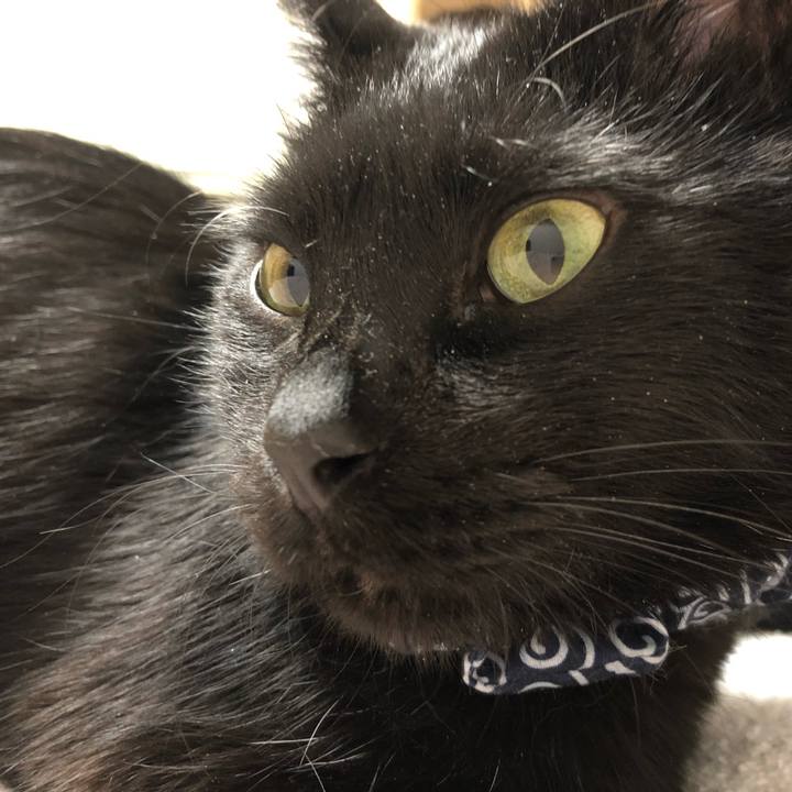 7cabe9b3 43e9 48f6 a64b 9a6bda4d8181 1555162918300