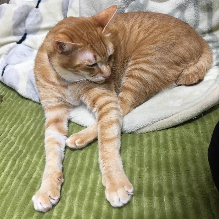 7cabfbe1 4a6c 403c 89e9 c060bd1e9b8f 1551610557945