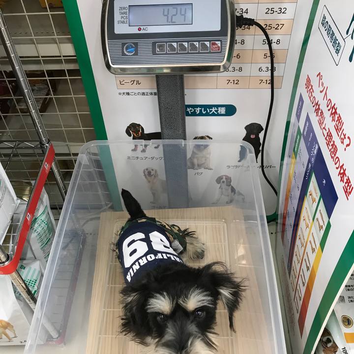 7cac0bc2 c3d3 4f32 89a1 fa77e0ef6644 1553431268114