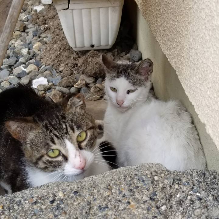 7cac390e e751 473f 84d9 159d302646df 1688018787699