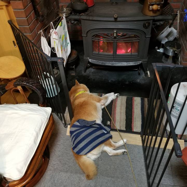 7cac5dda 96b1 4d37 b42b 168347c1ce86 1672131428697