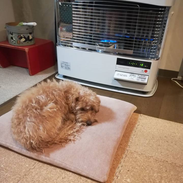 7cac7d1e 31a7 4eac 821d b27e1890ed76 1540845616823