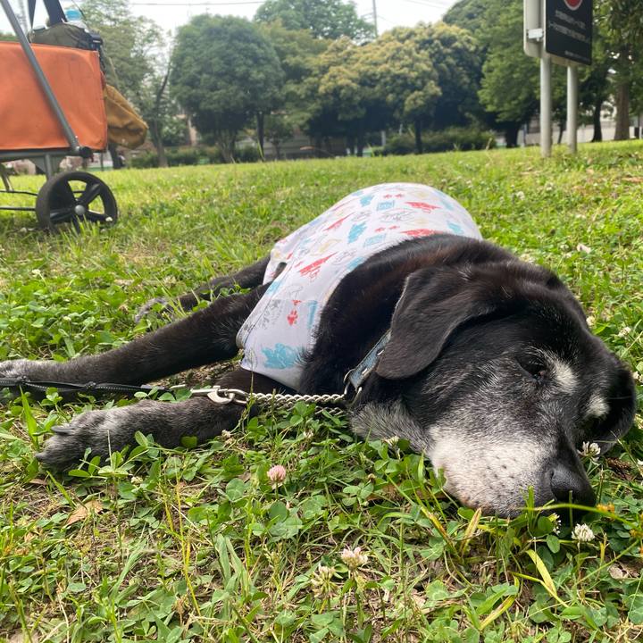 7cacaf48 c77e 4660 8e6a cd96edc419f1 1749715398054