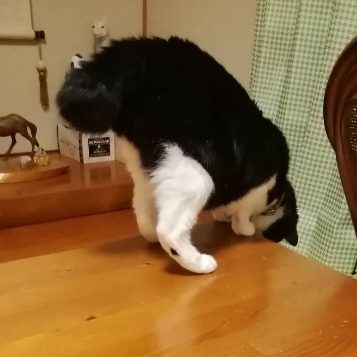 7cacbcb5 c99c 4e42 bacd 1076b668e0ef 1565533742095