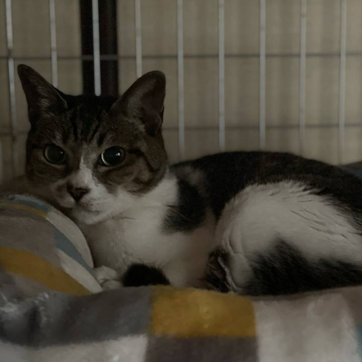 7cacf2bc 2478 4bb8 8ee2 97fdc730de2c 1631840618394