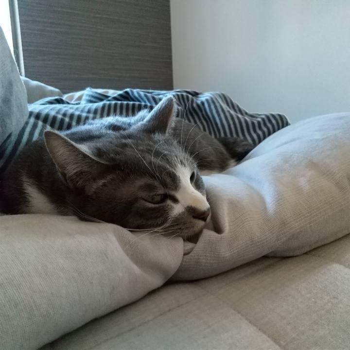 7cad084b 46b6 468e b020 de2930877169 1613265804260