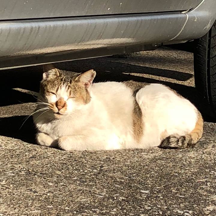 7cad11db b278 4a48 864b e022ff866c4f 1514583862802