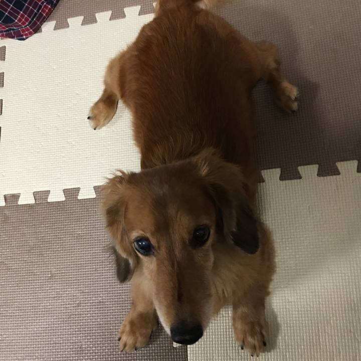 7cad4241 bce3 437e 8780 426cb7aef1a4 1603199853391