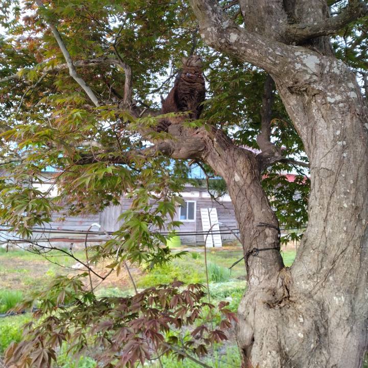 7cada0f4 4459 4ebc a216 4c7ead111834 1683586607040