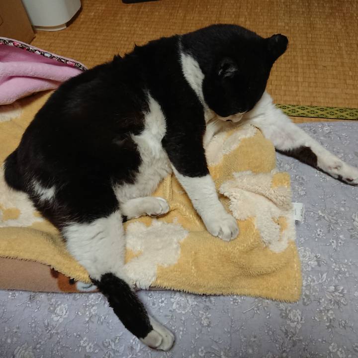 7cada4b7 03cf 4c45 a84f a82390eda136 1615175991958