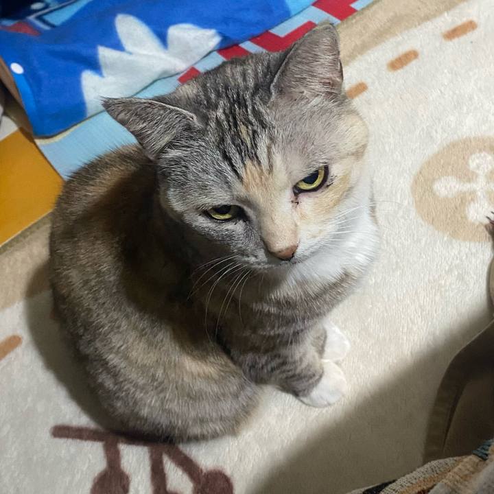 7cadb09f 2205 4d0a 9383 8194af596a33 1734857137053