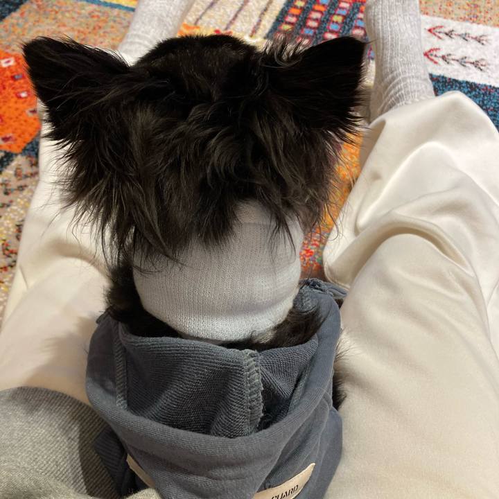 7cadc304 1daf 4619 b982 abc5643164eb 1710661406887