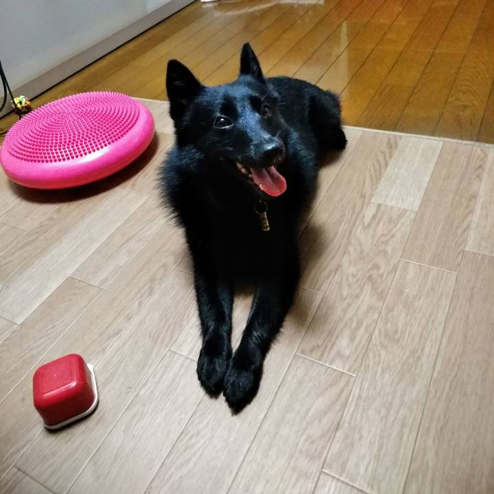 7cadf95a ba7b 4c25 91d1 62a7a46a7728 1563831621642