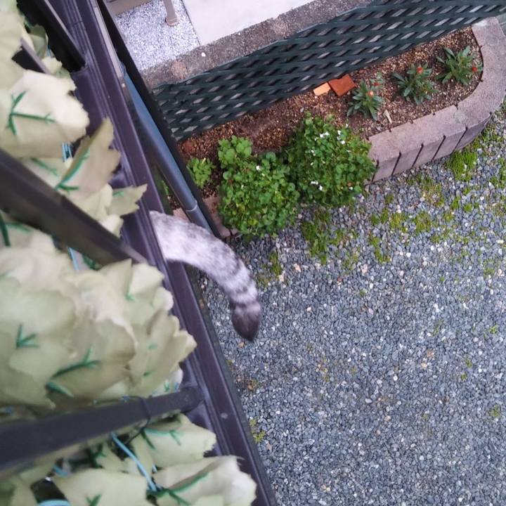 7cae1040 29a0 4167 960f 7b836759d538 1592734958350