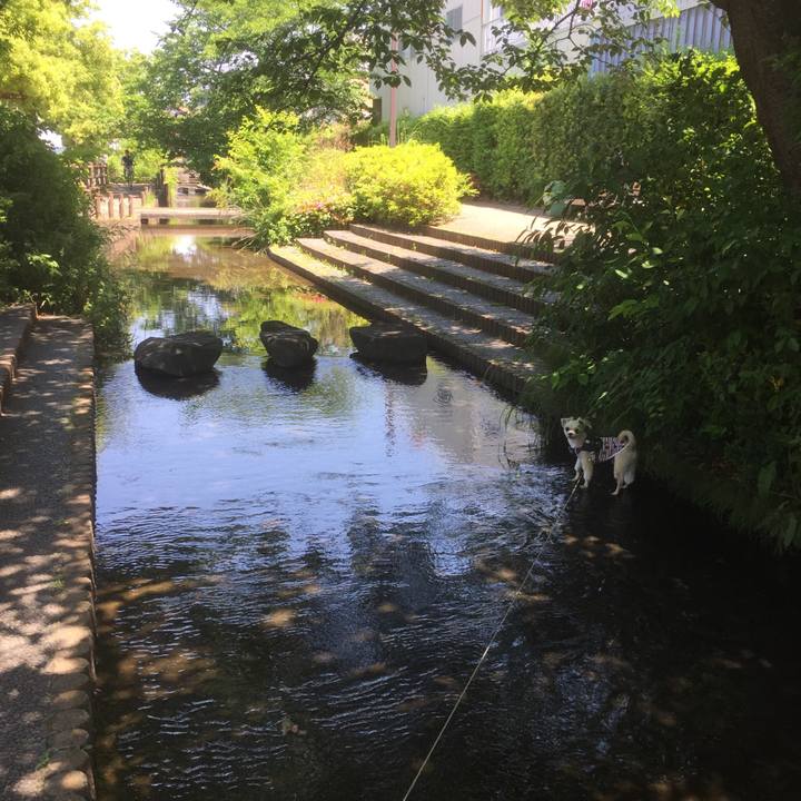 7cae426f d8ed 4044 a3c5 2fac976b76ac 1558753831531