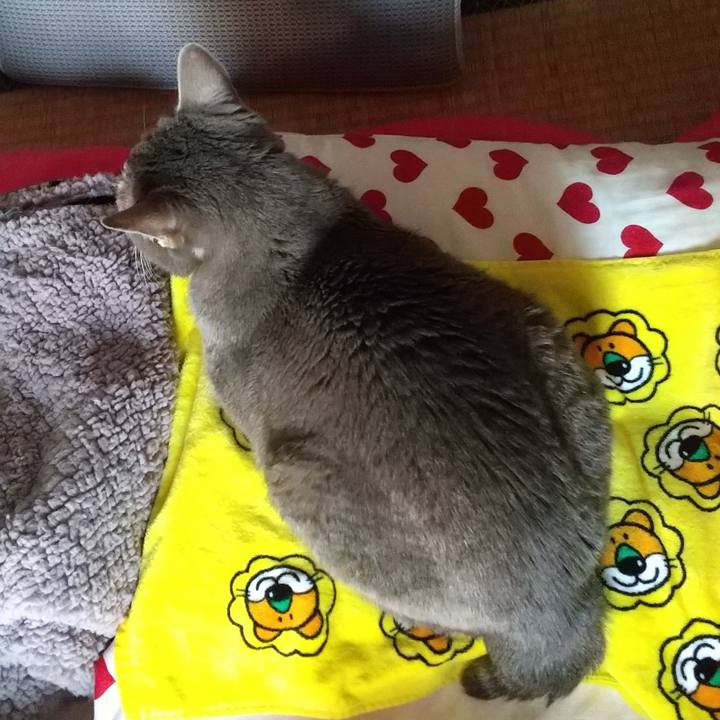 7cae52fb 7fa1 4756 b4e7 57a8dd09a09e 1681334996287