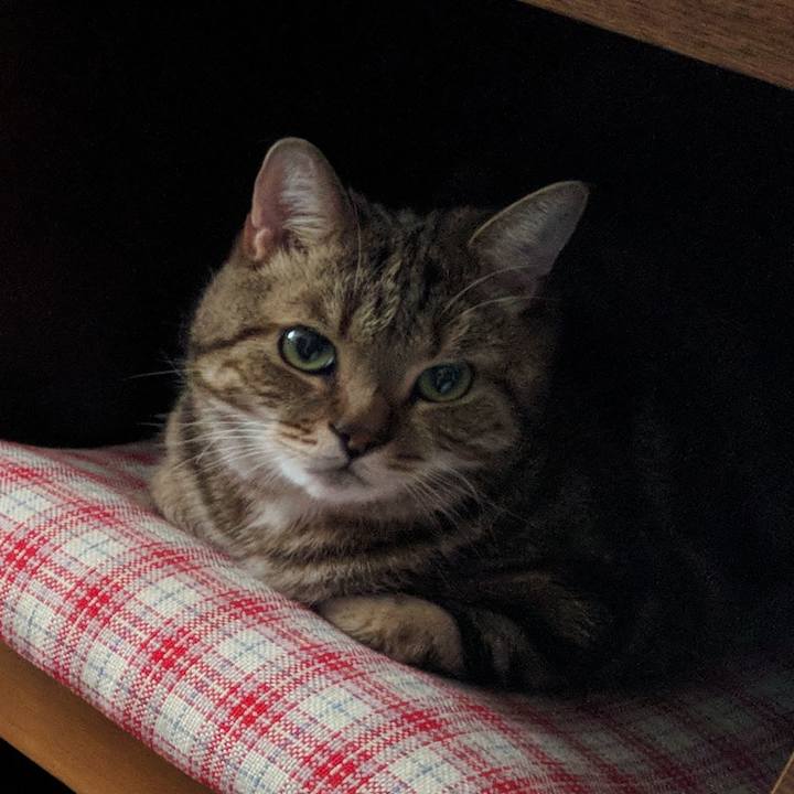 7cae6d63 4c46 400e 9ca5 429747c88ba2 1566136013638