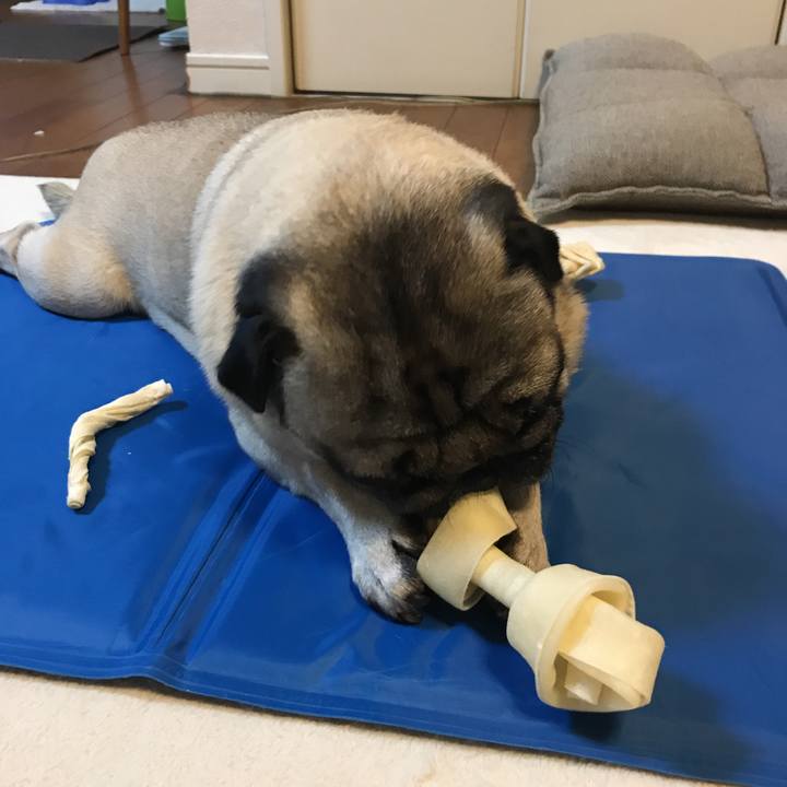 7cae72bc a6eb 43b0 9d92 f18ff644b99f 1530015185910