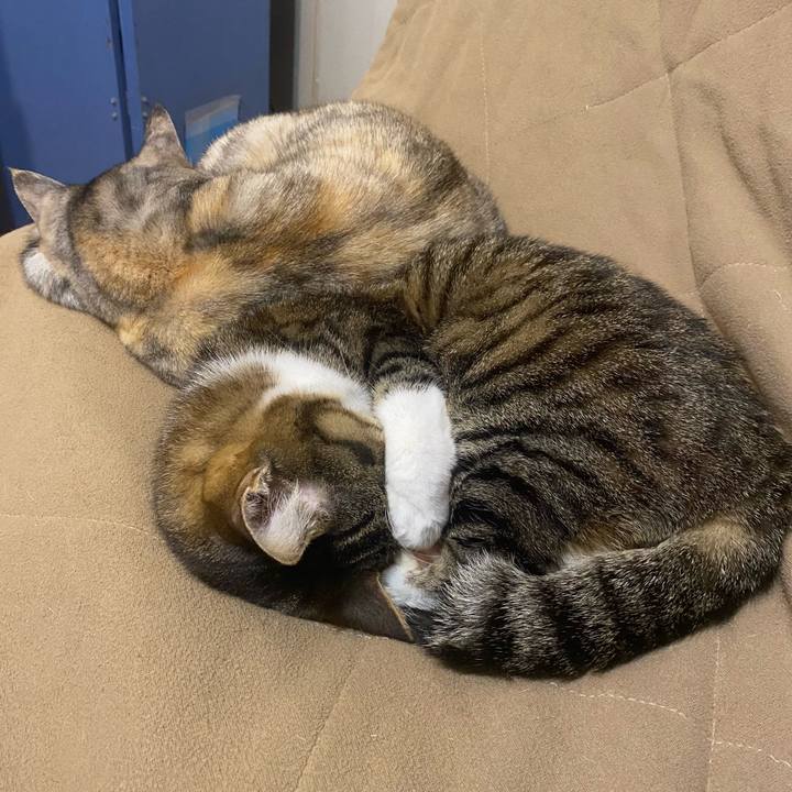 7cae9c70 3706 47a7 bcb1 d3a1a6414d3a 1646096619321