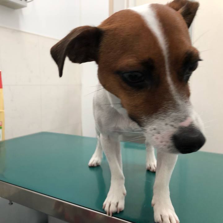 7caea147 5463 4de3 925a 1dd01d045922 1566103924046